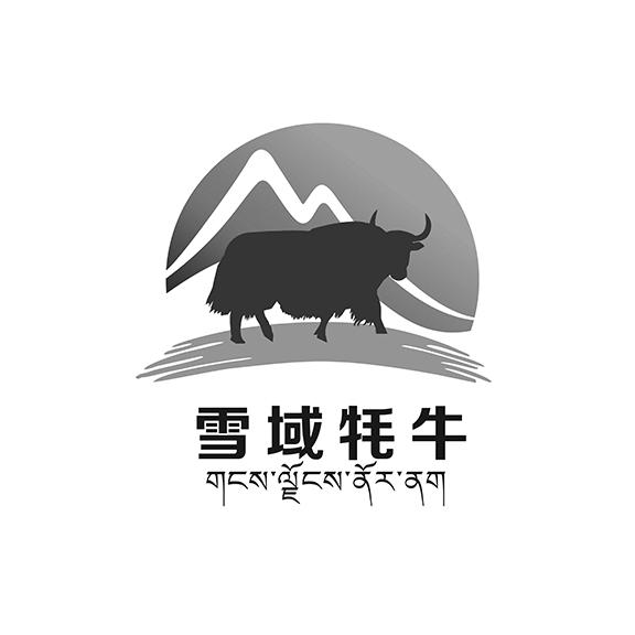 雪域牦牛                                  