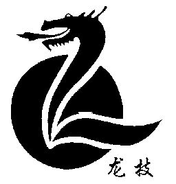 龙技                                      