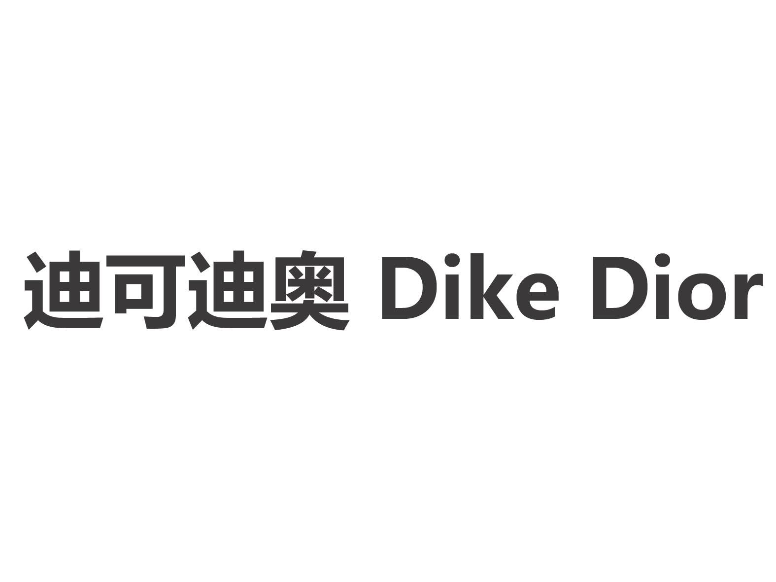 迪可迪奥 dike dior