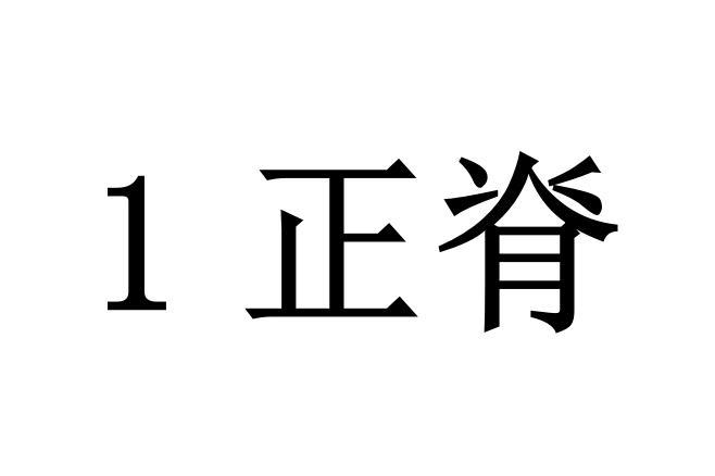 贵州知策管理咨询有限公司正脊商标注册申请申请/注册号:68194034申请