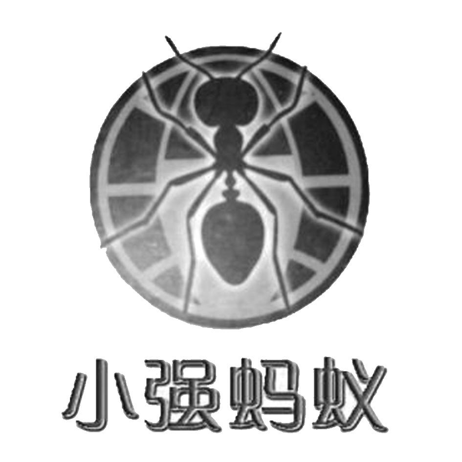  em>小强 /em> em>蚂蚁 /em>