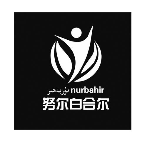  em>努尔白 /em> em>合尔 /em> nurbahir