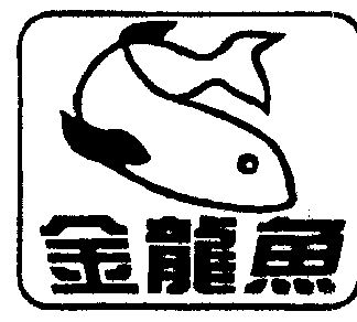 金龙鱼                                    
