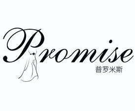 普罗米斯 promise                          