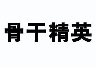 骨干精英 - 商标 - 爱企查