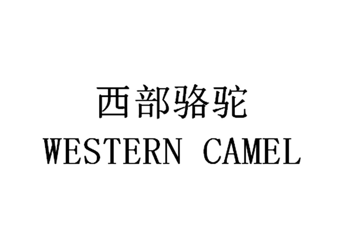 em>西部/em em>骆驼/em em>western/em em>camel/em>