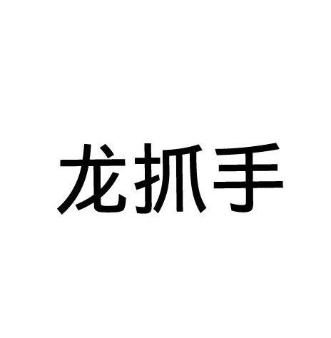  em>龙 /em> em>抓手 /em>