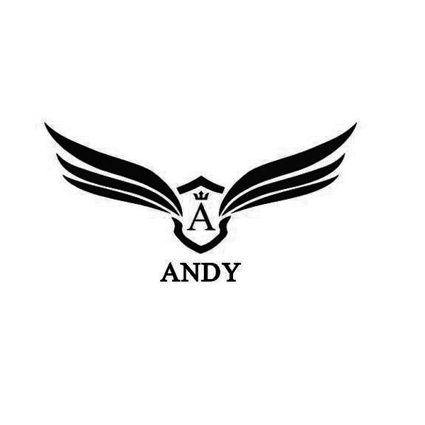 a andy