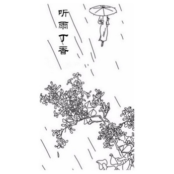听雨丁香