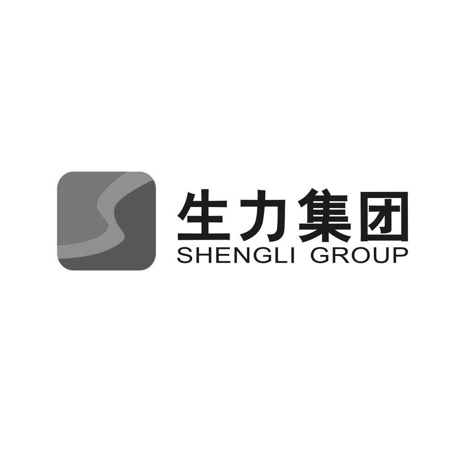 shengli group生力集团                     