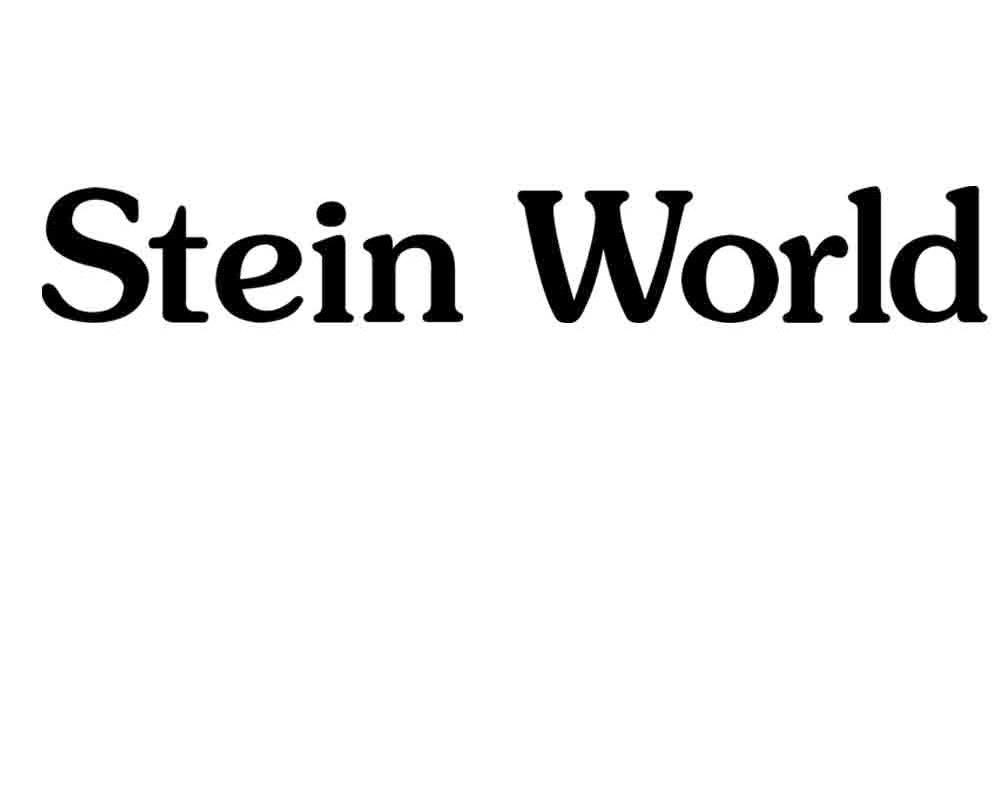  em>stein /em>  em>world /em>