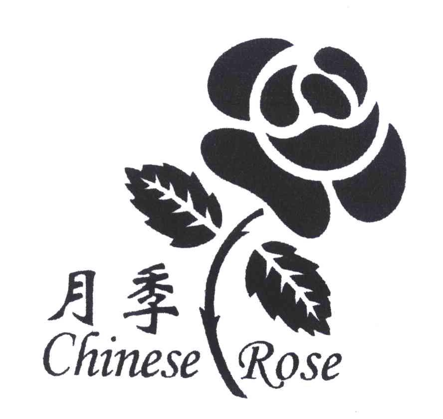  em>月季 /em>; em>chinese /em>  em>rose /em>