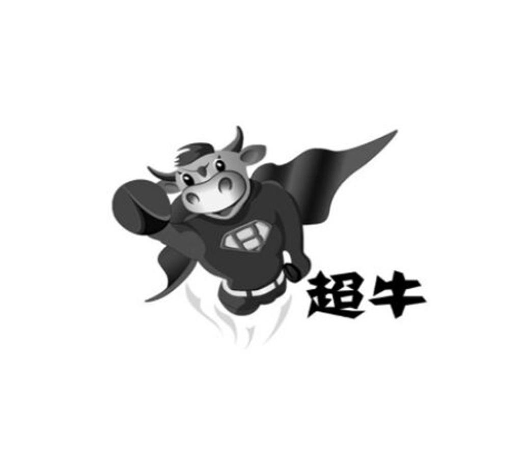  em>超 /em>牛  em>b /em>