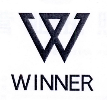  em>w /em>  em>winner /em>