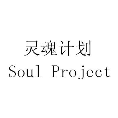  em>灵魂 /em>计划  em>soul /em> project
