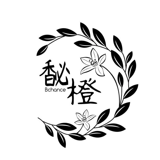 馝橙 em>b /em> em>chance /em>