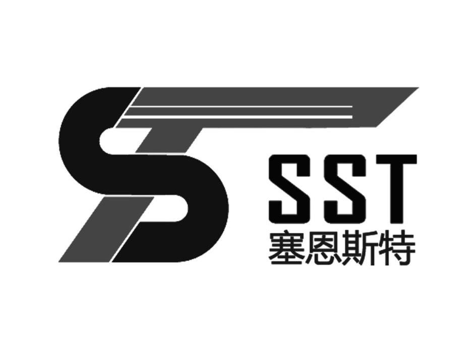 em>塞恩斯特/em st sst