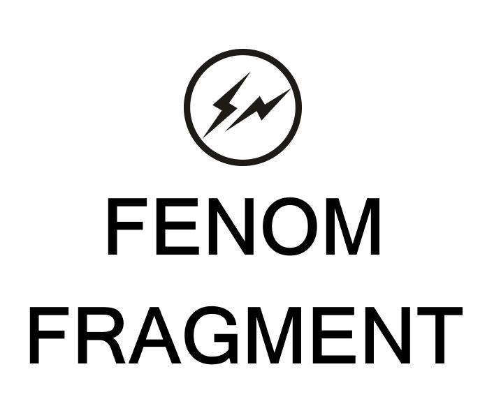  em>fenom /em>  em>fragment /em>