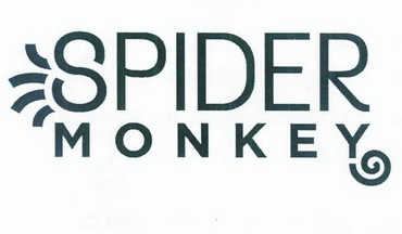  em>spider /em>  em>monkey /em>