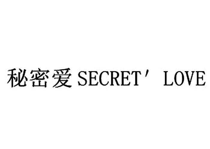 秘密爱  em>secret /em> em>love /em>