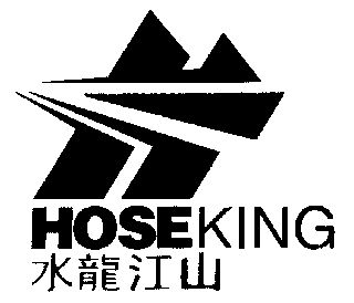 江苏水龙江山消防发展有限公司