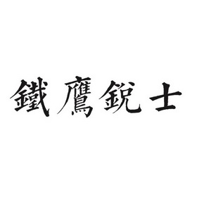 em>铁鹰锐士/em>