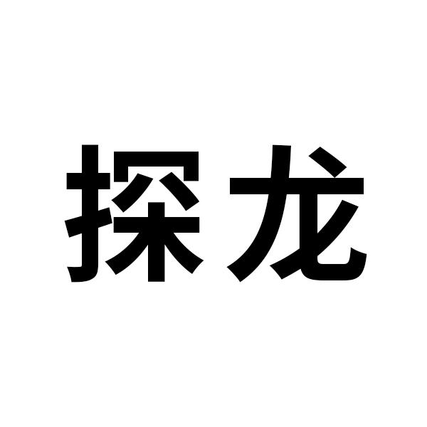 探龙