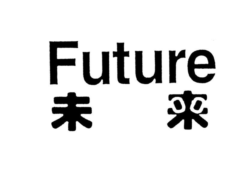  em>未来 /em>  em>future /em>