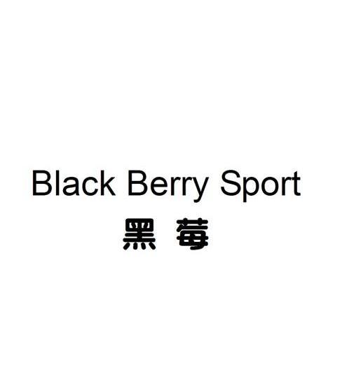 黑莓 black  em>berry /em>  em>sport /em>