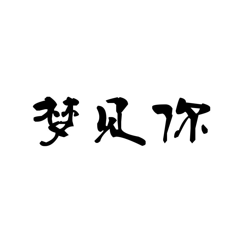 梦见你