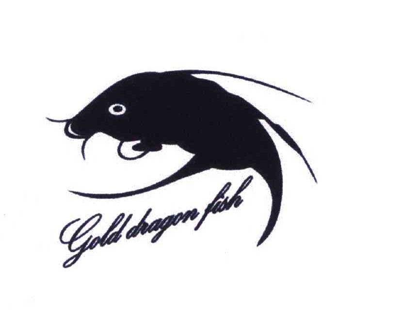  em>gold /em> dragon fish