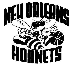  em>new /em> orleans hornets
