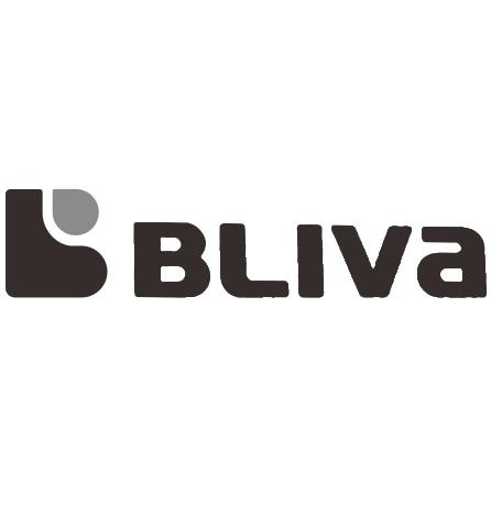bliva_企业商标大全_商标信息查询_爱企查