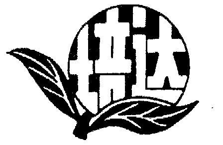  em>培 /em> em>达 /em>