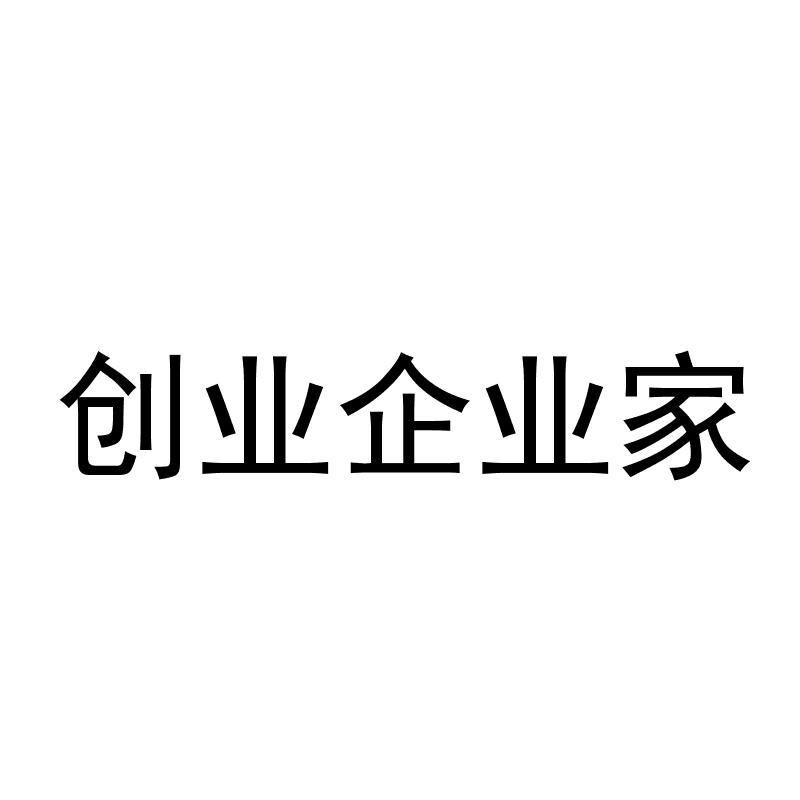 创业企业家