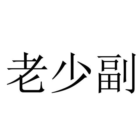 老少副