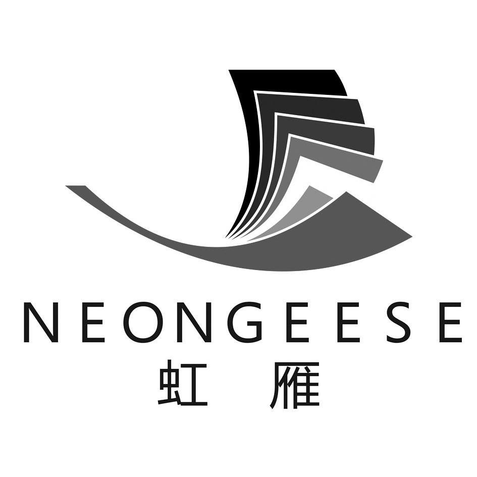  em>虹雁 /em>  em>neon /em> em>geese /em>