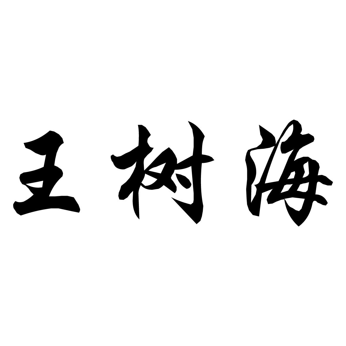 em>王树海/em>