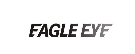 eagle eye                                 