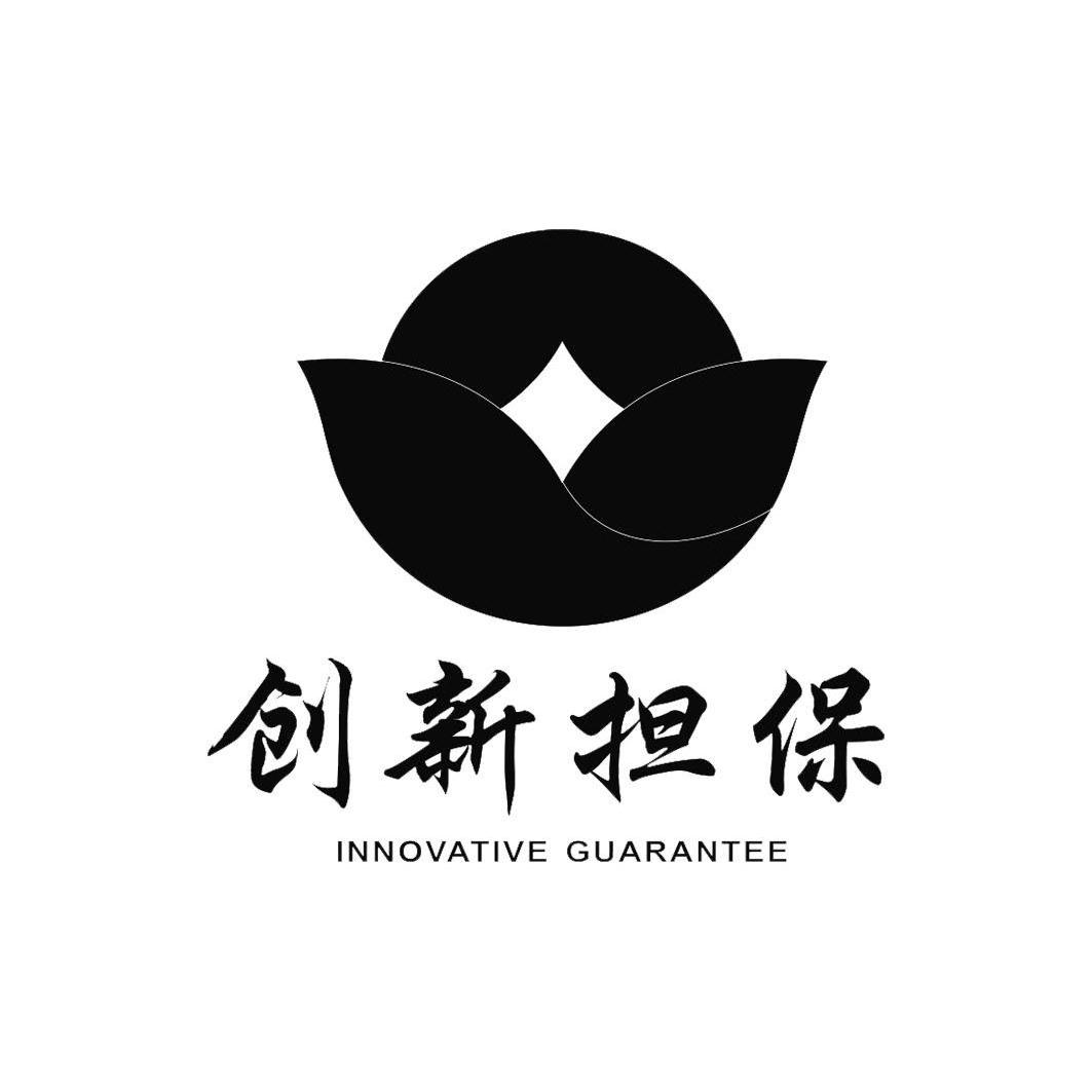  em>创新 /em> em>担保 /em>  em>innovative /em>  em>guarantee /em