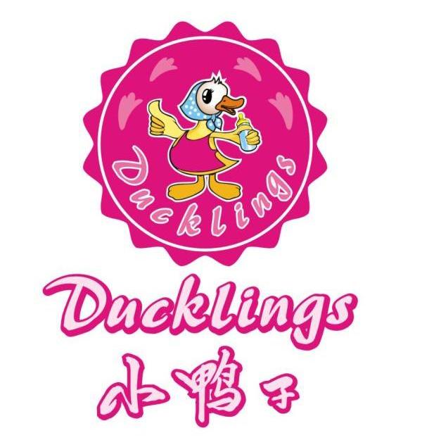 小鸭子  em>ducklings /em>