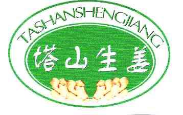  em>塔山 /em> em>生姜 /em>