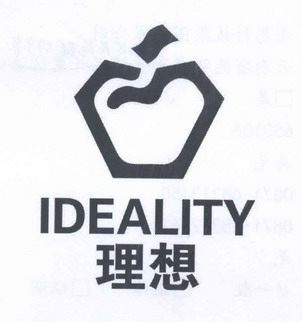 理想 ideality                             