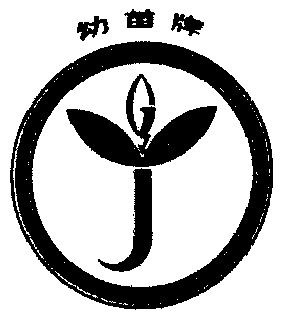  em>幼苗 /em>