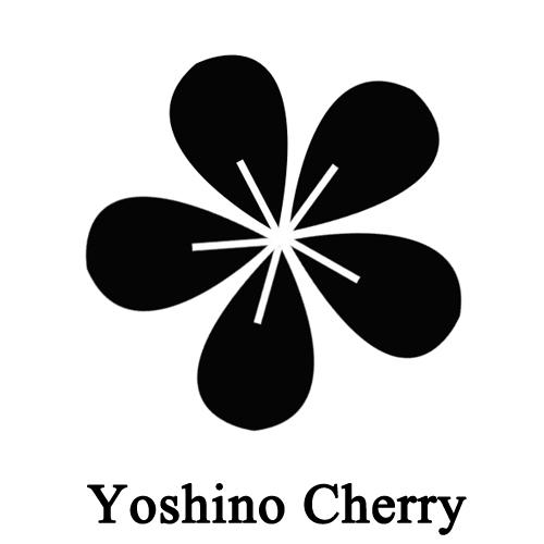 yoshino cherry                            