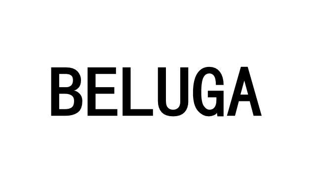 beluga 头像图片