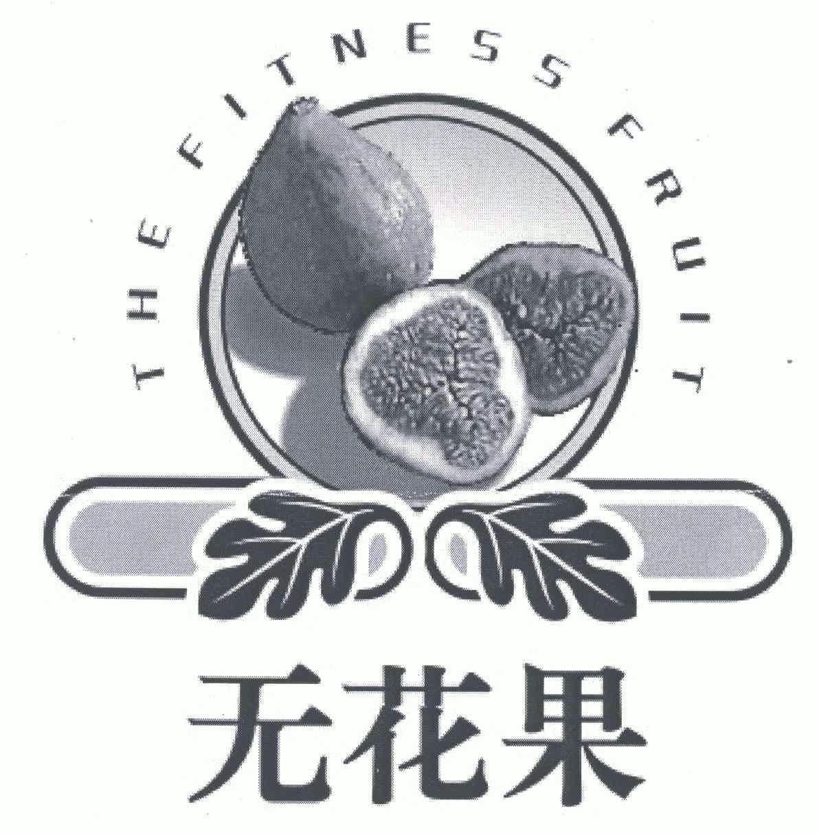  em>无花果 /em>;the em>fitness /em> em>fruit /em>