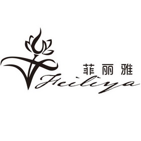 feiliya_企业商标大全_商标信息查询_爱企查