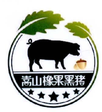 嵩山橡果黑猪                              