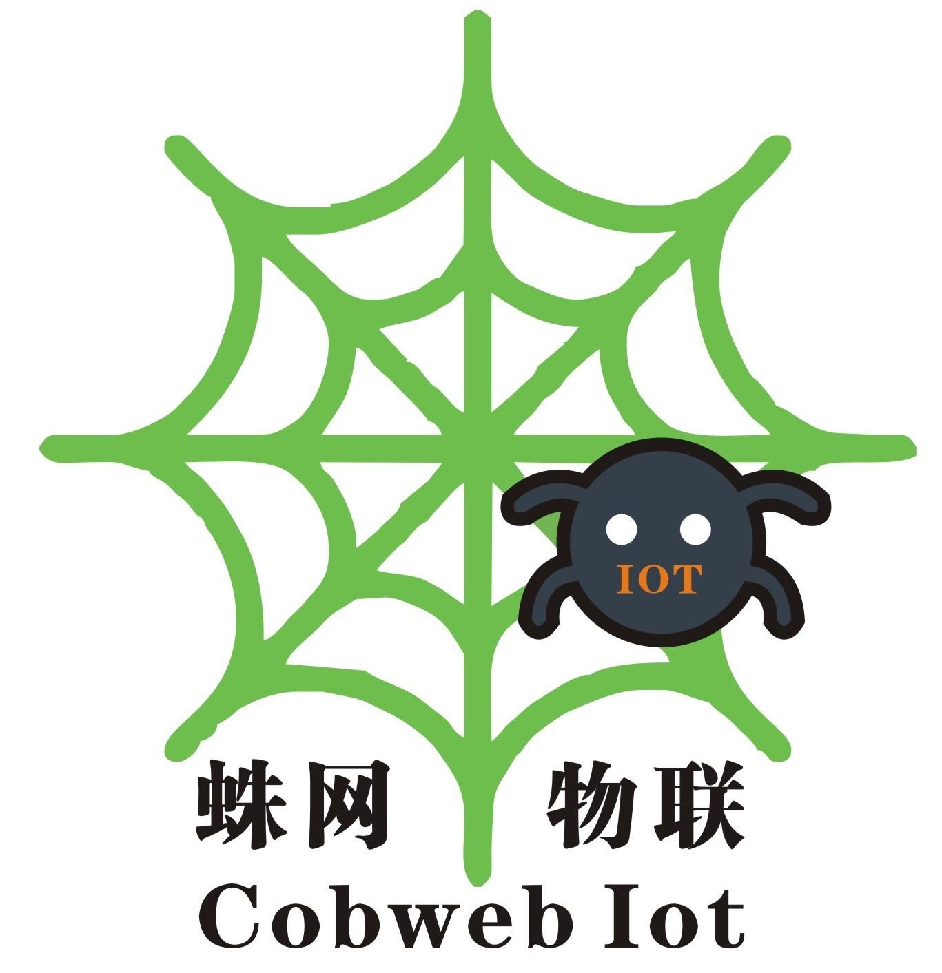 em>蛛网 /em>物联 iot cobweb iot